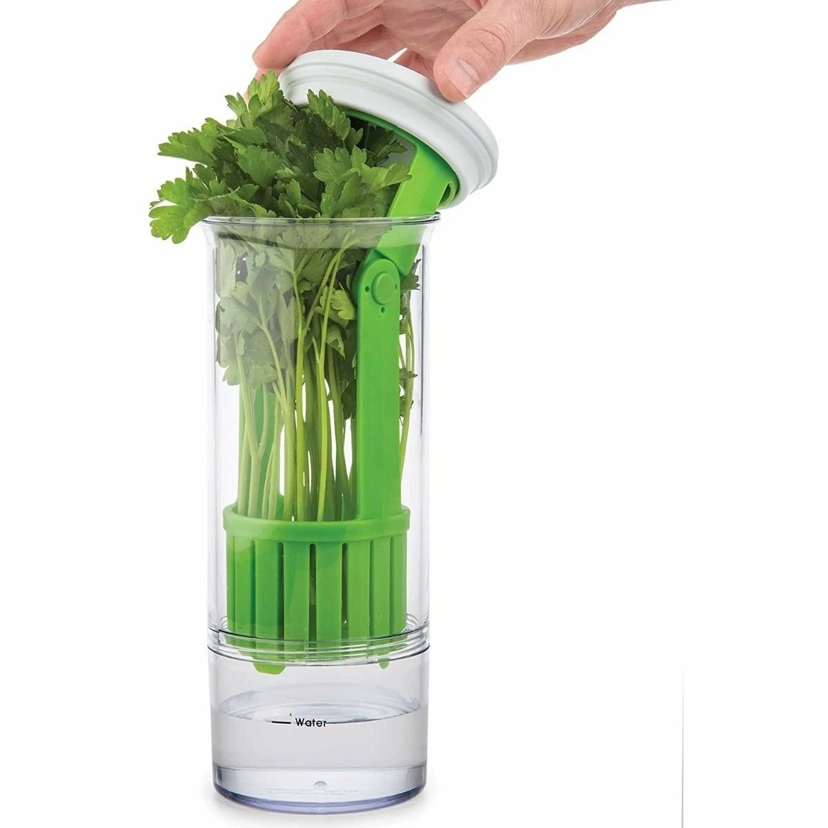 Best Sale ๐ฅฐ Progressive Prep Solutions Herb Keeper ๐ 7 Best Sale ๐ฅฐ Progressive Prep Solutions Herb Keeper ๐ - Image 3