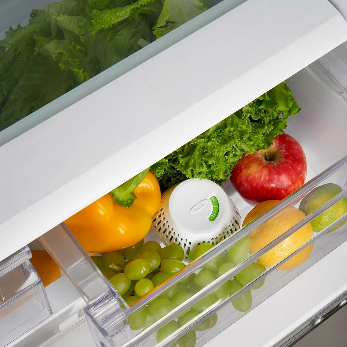 Hot Sale π OXO GreenSaver Crisper Drawer Insert - Standing - 1PC π 5 Hot Sale π OXO GreenSaver Crisper Drawer Insert - Standing - 1PC π