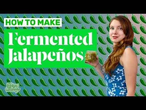 Hot Sale โญ FarmSteady Fermented Vegetable Kit ๐ 11 Hot Sale โญ FarmSteady Fermented Vegetable Kit ๐ - Image 9