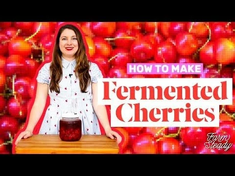 Hot Sale โญ FarmSteady Fermented Vegetable Kit ๐ 12 Hot Sale โญ FarmSteady Fermented Vegetable Kit ๐ - Image 10