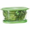 Cheapest 🧨 Progressive Lettuce Keeper | 4.7-Quart 🤩 -Mason Cash Shop lks 06 use 1