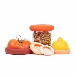 Budget ⌛ Food Huggers (Set Of 5) | Terracotta 🔥 -Mason Cash Shop lo res 1052818