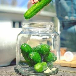 Cheapest 🎉 FarmSteady Lacto-Pickle Kit 👍 -Mason Cash Shop pickle3 1