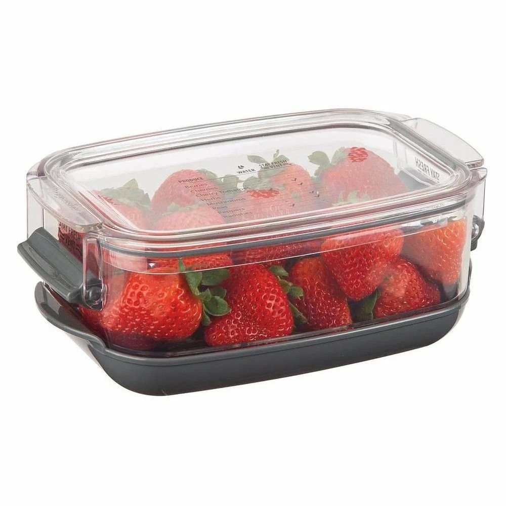 Best reviews of π Progressive Berry Keeper | 1.2-Quart β 5 Best reviews of π Progressive Berry Keeper | 1.2-Quart β