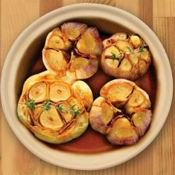 Best Sale ๐ Sassafras Superstone Garlic Baker ๐ 9 Best Sale ๐ Sassafras Superstone Garlic Baker ๐ -Mason Cash Shop sas00075a 69532.1432666959.500.500