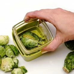 Flash Sale ๐ RSVP International RSVP Brussels Sprout Tool ๐ 14 Flash Sale ๐ RSVP International RSVP Brussels Sprout Tool ๐ -Mason Cash Shop sprout ls3 scaled scaled scaled scaled scaled scaled scaled 1