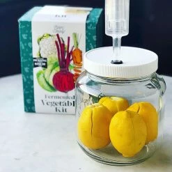 Hot Sale โญ FarmSteady Fermented Vegetable Kit ๐ 16 Hot Sale โญ FarmSteady Fermented Vegetable Kit ๐ -Mason Cash Shop veg6